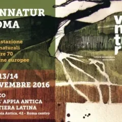 Vinnatur a Roma