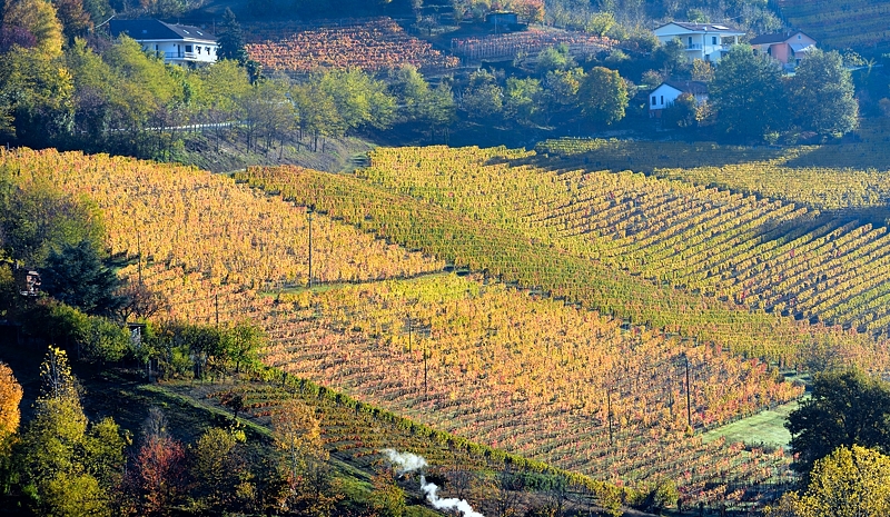 Le Langhe