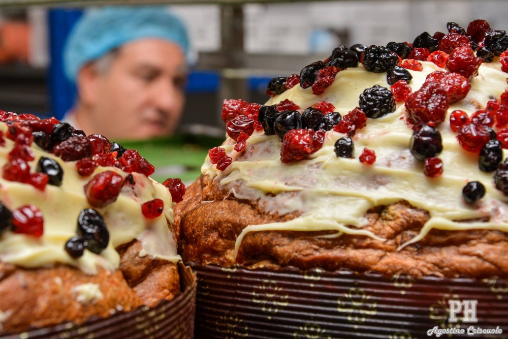 Sal De Riso, Panettone sottobosco