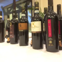 Fabio Mecca - 10 anni di carriera