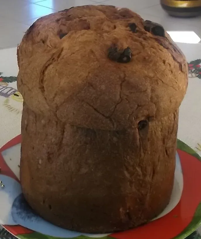 Il Panettone del Cilento