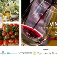 LocandinaVinicibando 2016