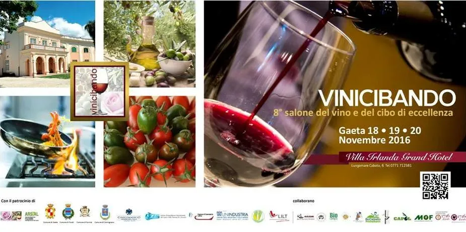 LocandinaVinicibando 2016