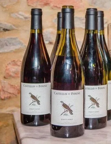 Pinot Nero Castello di Fosini