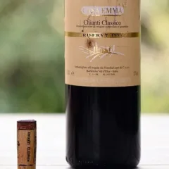 Chianti Classico Riserva 1995 Casa Emma