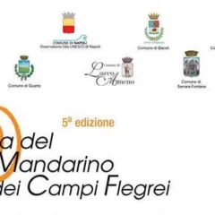 Festa del mandarino dei Campi Flegrei