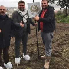 Pizzeria 10 di Diego Vitagliano