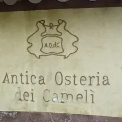 Cameli' insegna