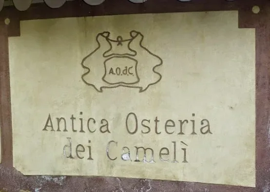 Cameli' insegna
