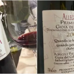 Allegoria Pietraventosa