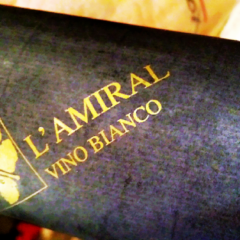 L'Amiral 2015, Maccario Dringenberg