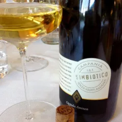 Oppida Aminea, IGT Simbiotico