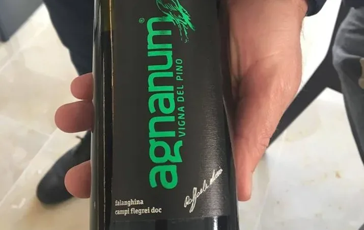 Vigna del Pino 2015 Agnanum