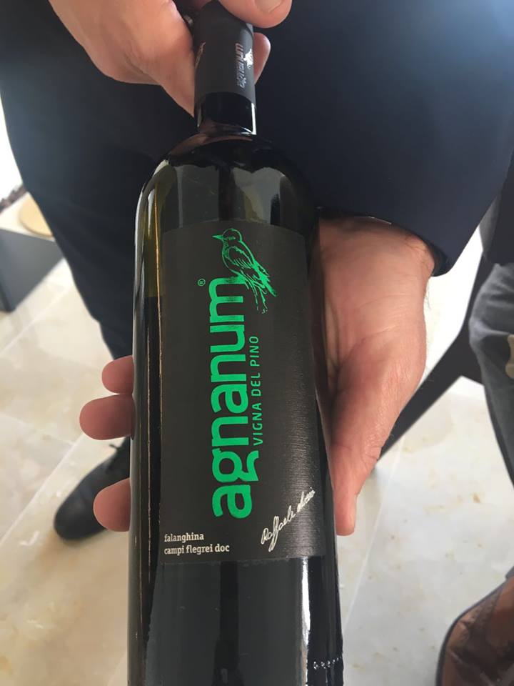 Vigna del Pino 2015 Agnanum