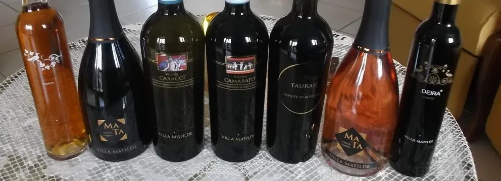 Vini di Villa Matilde