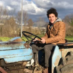 Coltivazione del grano