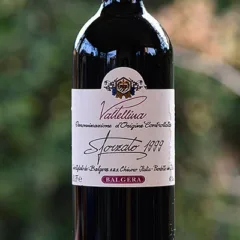 Valtellina Sforzato DOC 1999 Balgera