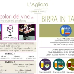 Degustare ed abbinare vino e birra senza essere esperti!