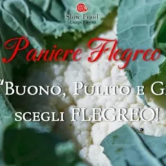 Paniere Flegreo