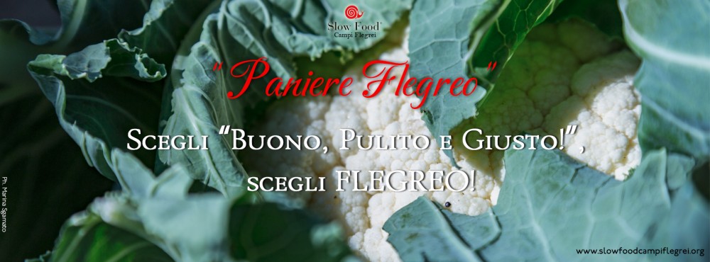 Paniere Flegreo