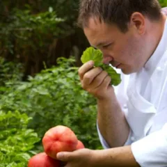 Danilo Di Vuolo - Caletta dello Scrajo