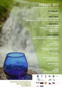 Extrasele-2017