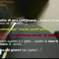 Le intercettazioni sulle mozzarelle contraffate