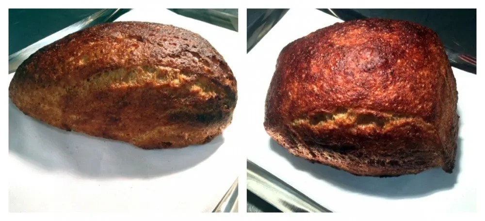 Saverio Piccolo, Pagnotta Naturale