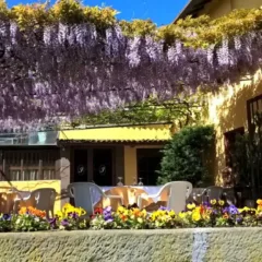 Trattoria Isoletta, cortile fiorito