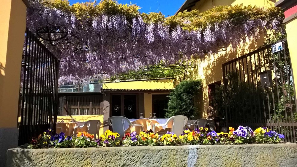 Trattoria Isoletta, cortile fiorito