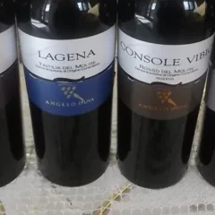 Vini di Angelo D'Uva