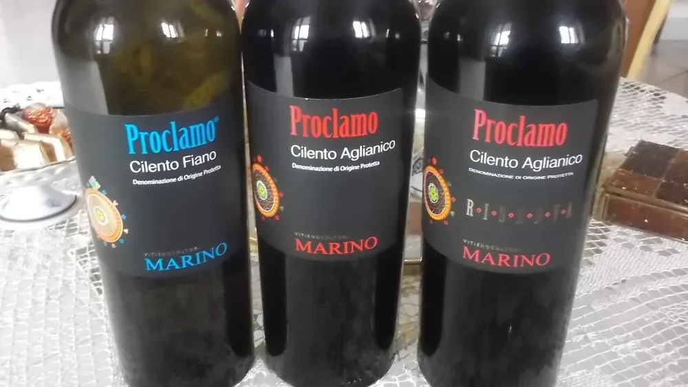 Vini di Raffaele Marino