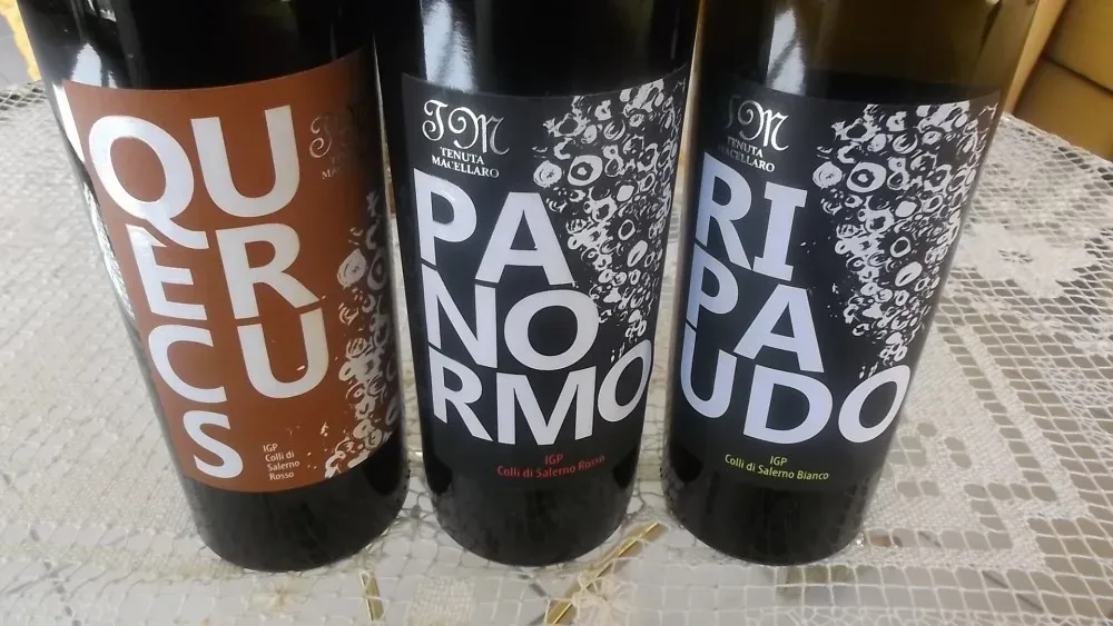Vini di Tenuta Macellaro