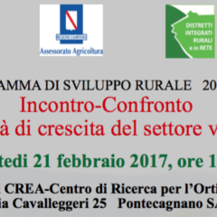 Opportunita' di crescita del settore vitivinicolo