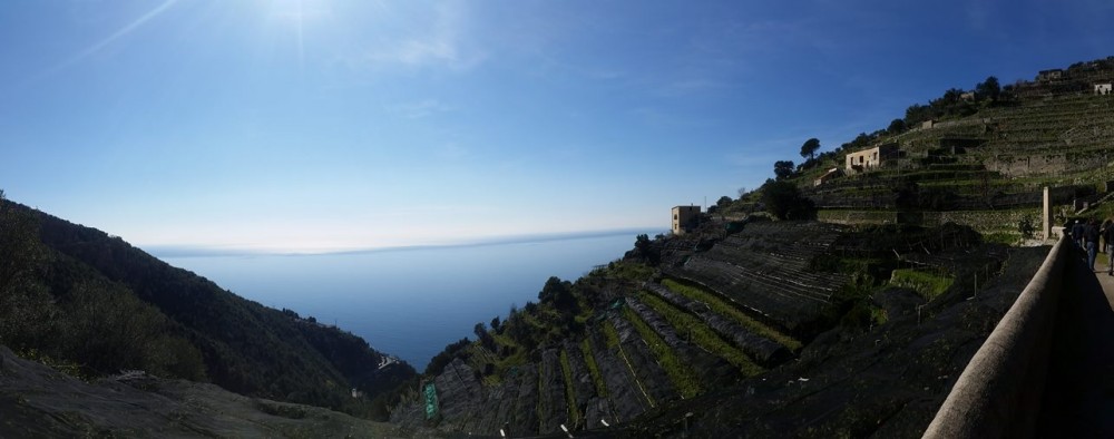 La Costa d'Amalfi vista dall'azienda