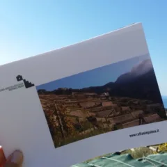 Azienda Raffaele Palma