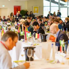 Concorso Mondiale del Sauvignon la sala di degustazione