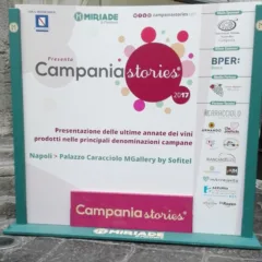Campania Stories 2017