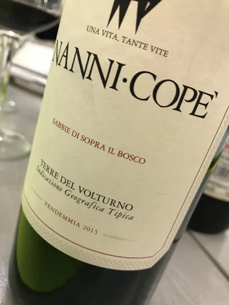 Nanni Copè 2015