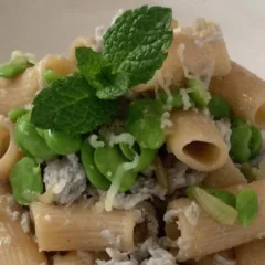 Rigatoni bianchetti menta fave e pecorino