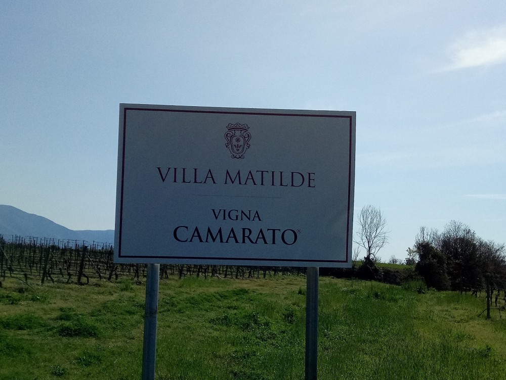 Villa Matilde Insegna Vigna Camarato