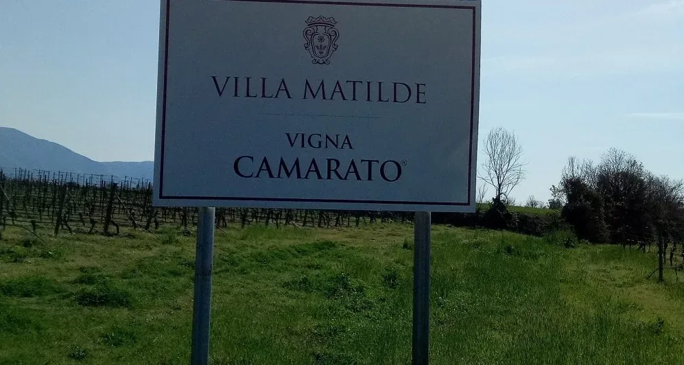 Villa Matilde Insegna Vigna Camarato