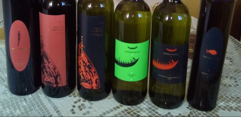 Vini dell'azienda Pietratorcia
