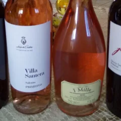 Vini di Leone De Castris