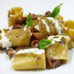 Paccheri alla genovese di totano rosso di Praiano e fonduta di Provolone del monaco