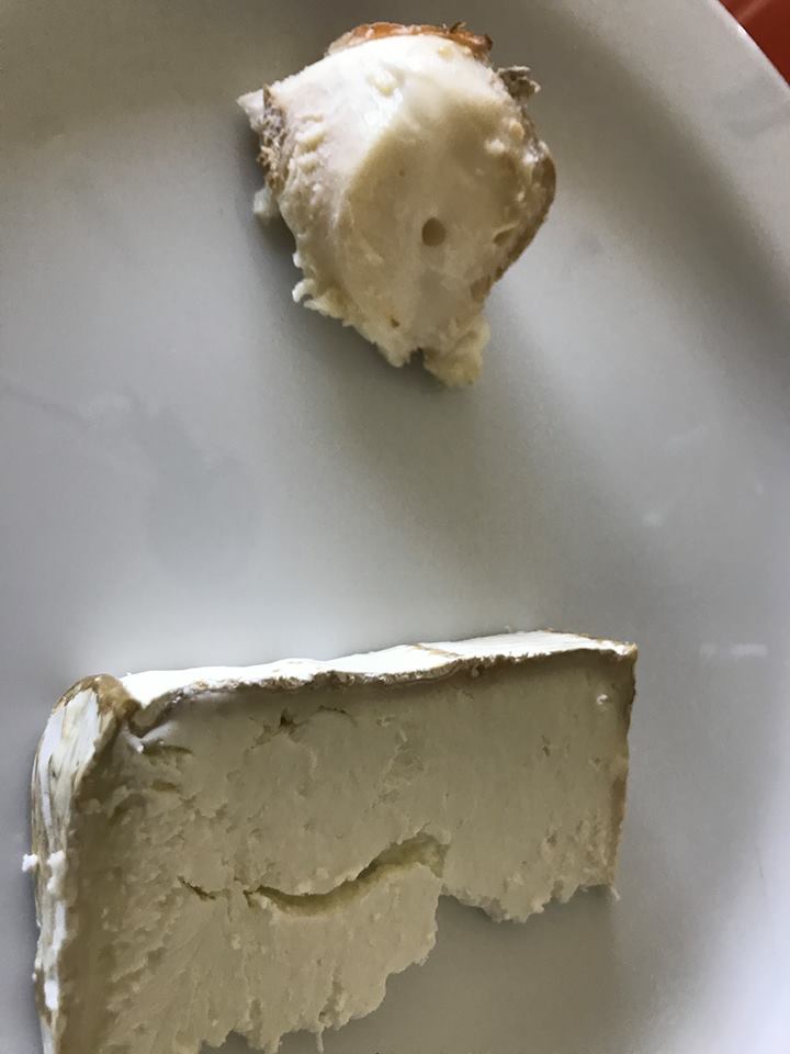 Antonello Colonna resort, caprini