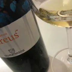 Tresinus Aureus 2015