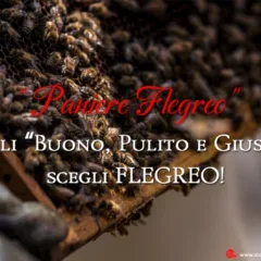 Paniere Fregreo, Sabato 8 Aprile 2017