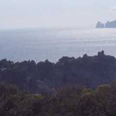 Capri vicina