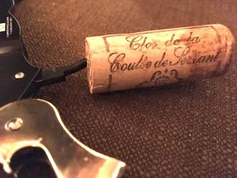 Clos de la Coulée de Serrant 2009